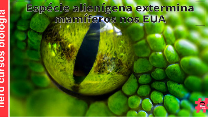 ESPÉCIE ALIENÍGENA EXTERMINA MAMÍFEROS NOS EUA