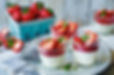 Panna cotta and jelly