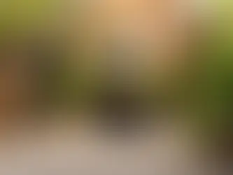 Meglepő Innováció, Amivel a Újraírják az Otthoni Fűtés Szabályait