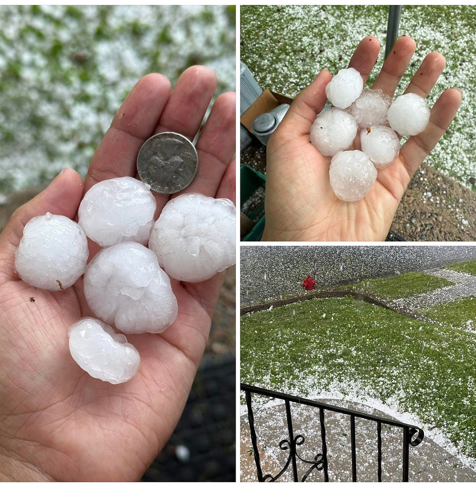 A gallery of photos showing quarter inch hail after a storm hit the north and south Minnesota metros.