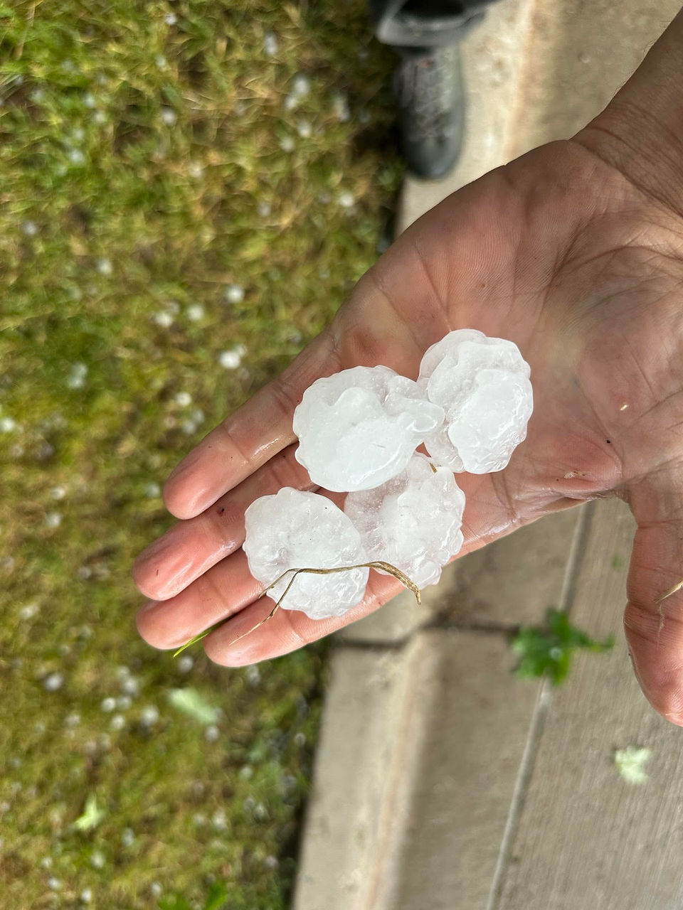 A homeowner provider this image of 1 inch hail found in their backyard following the June 10, 2026 Chisago County, Minnesota storm.