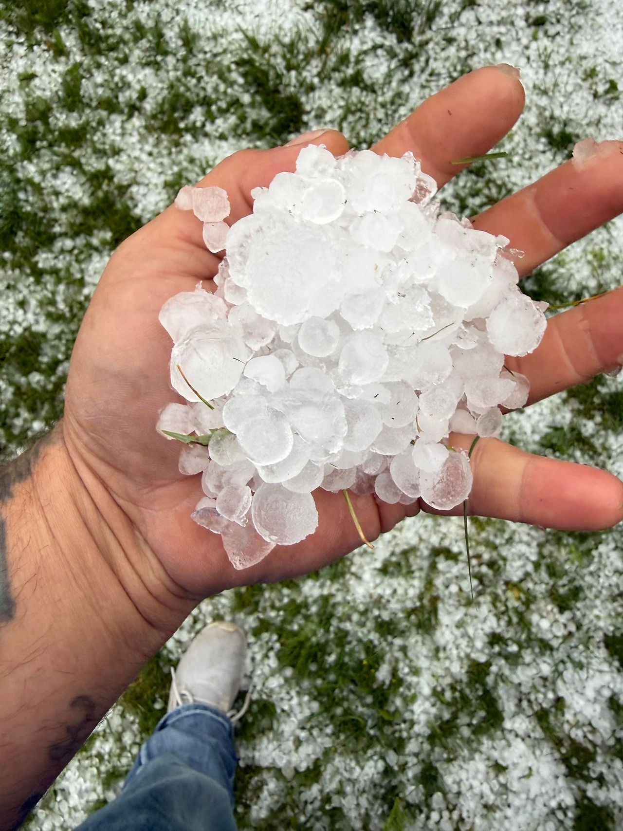 A handful of small hail after a storm hit the Twin Cities in 2026.