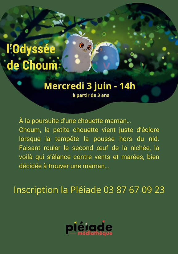 odyssée_choum (2).jpg