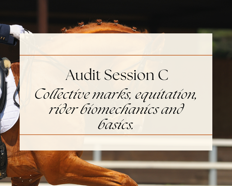 'L' Education Program - Session C