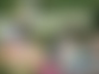 Building a Strong Foundation: Why Early Mandarin Matters for Your Child's Future