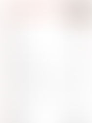 本日のおすすめ