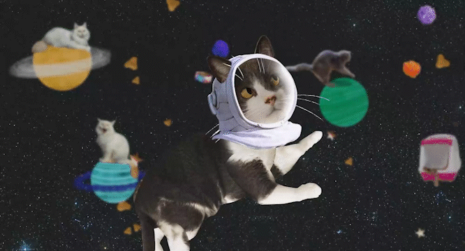 f31310164792553.63ff77cb54af8 - cópia.gif