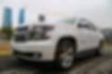 IMGL6859.jpg