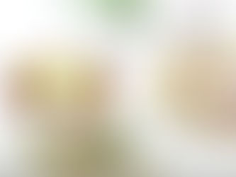 11月25日〜12月1日までの予定♡