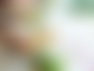 10/20〜10/22までお休みです