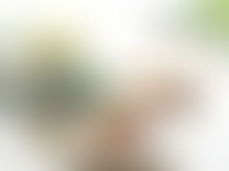 レッスンについて♡