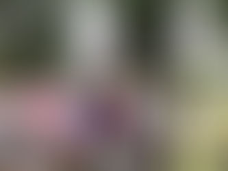 【未來實力養成學院】自然觀察探索任務:現象觀察 x 科學推理 x 理解自然規律