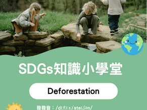 【SDGs知識小學堂】🌳 當森林不見了,我們還剩下什麼?