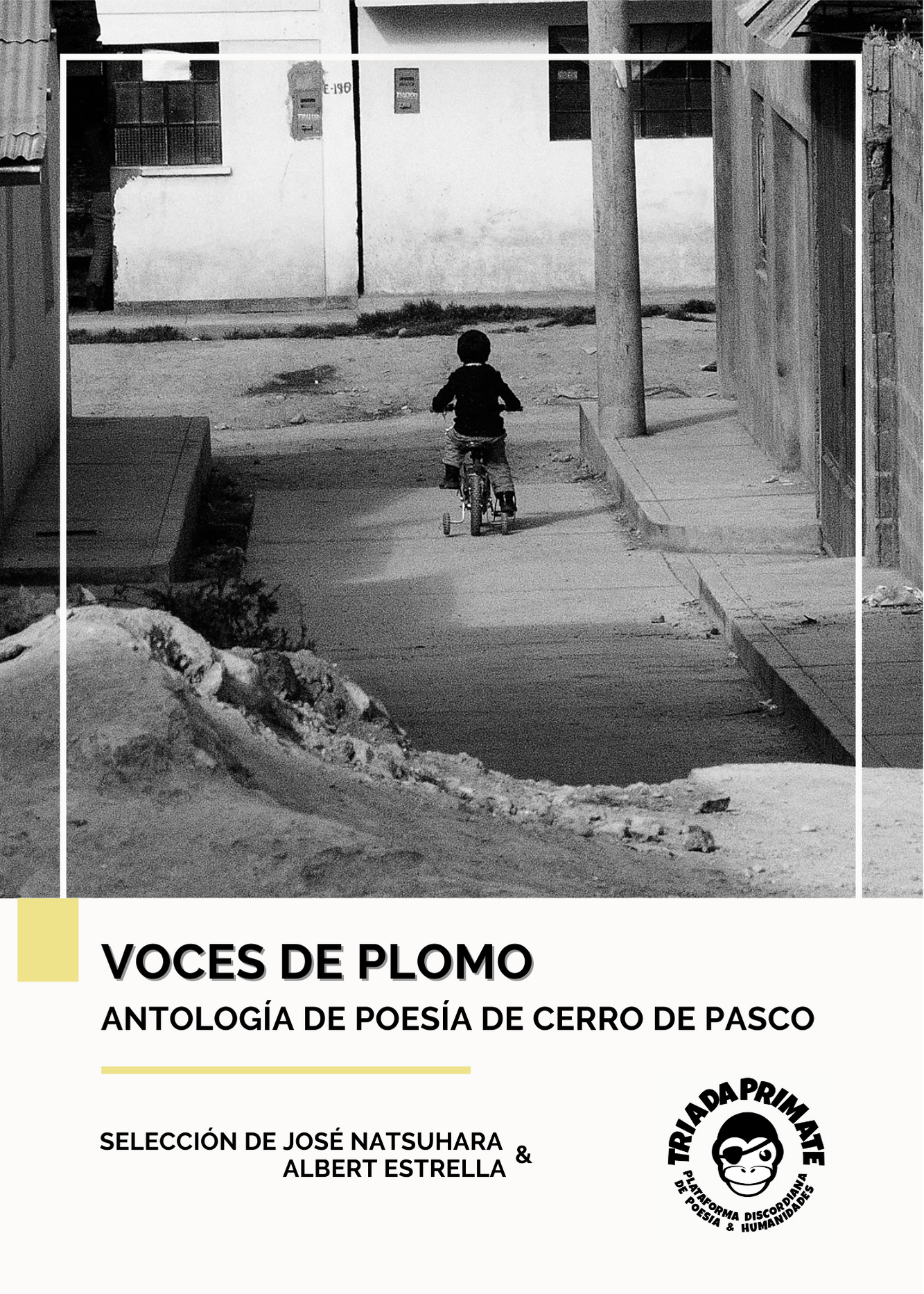 Voces de plomo: Antología de poesía de Cerro de Pasco