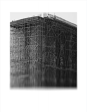 Sin título #13 | Untitled #13 [La lógica de las formas | The Logic of Forms]