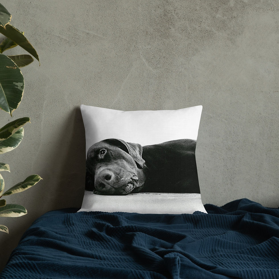 Thumbnail: Lewdo: Lying Dog Premium Pillow White