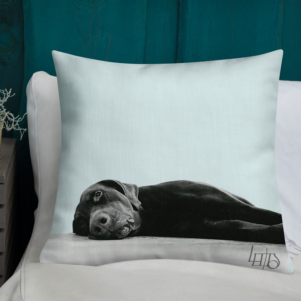 Thumbnail: Lewdo: Lying Dog Premium Pillow Blue
