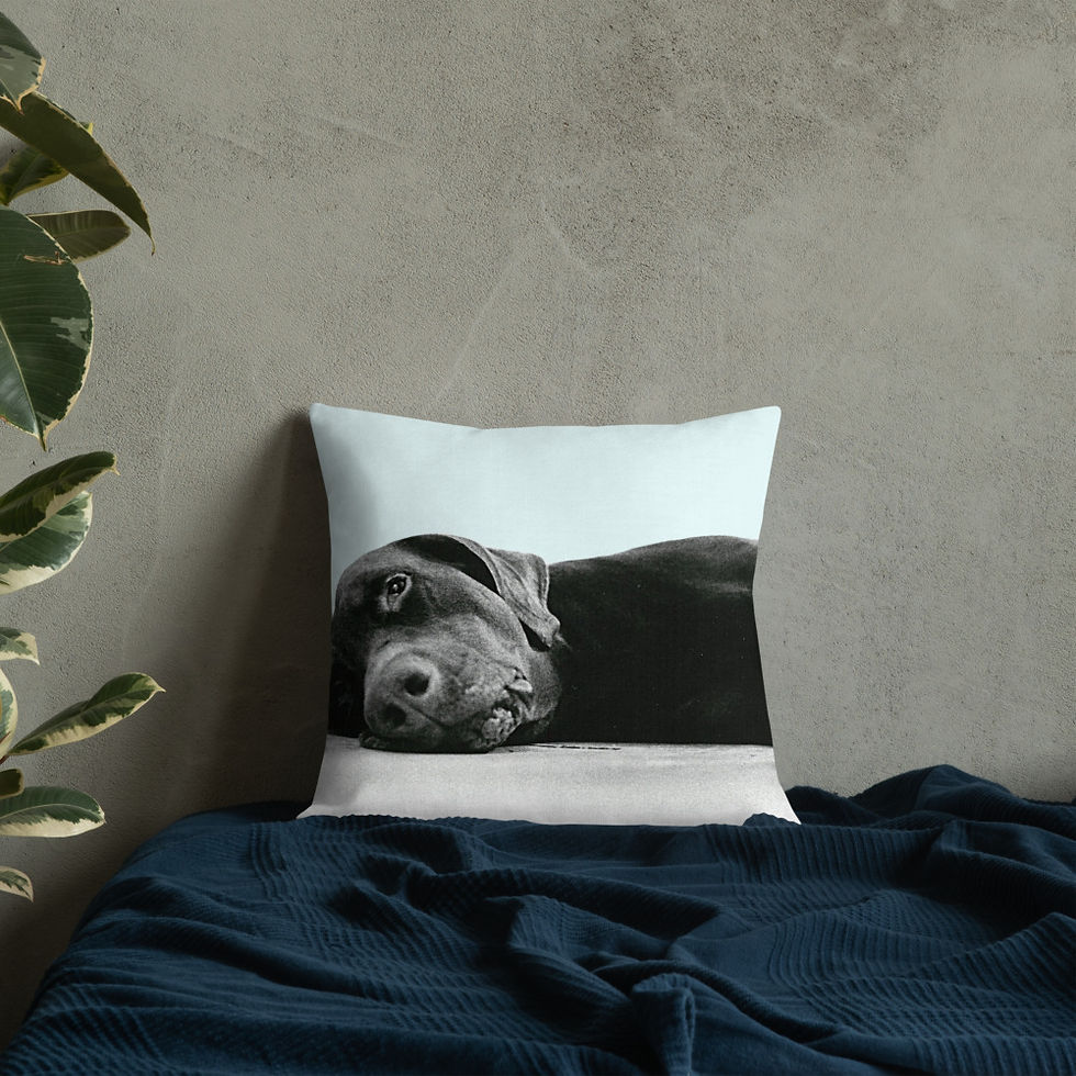 Thumbnail: Lewdo: Lying Dog Premium Pillow Blue
