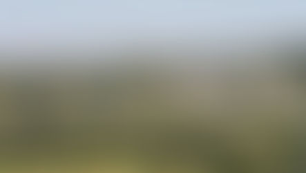 Estimation immobilière à Drémil-Lafage : combien vaut votre maison en 2026 ?