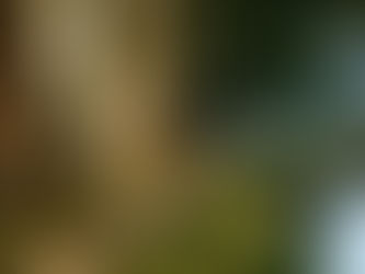 đ Vendre un bien encore sous crĂ©dit Ă Toulouse : comment faire (sans frais cachĂ©s) ?