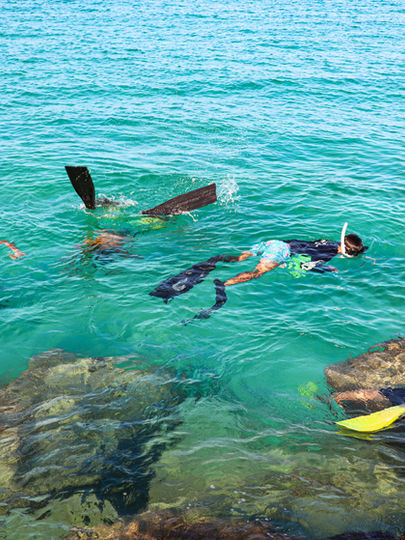 snorkel cleanup