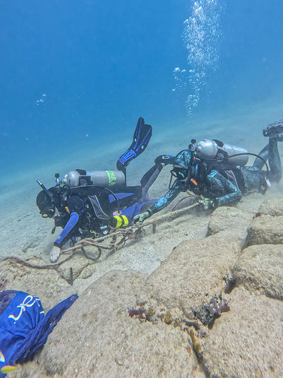 Reef cleanup