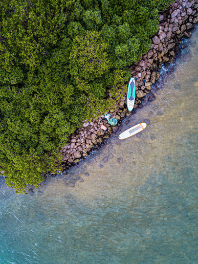 island cleanup