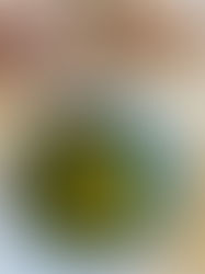 Spring Soup for Passover