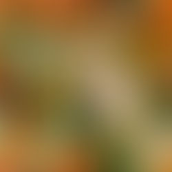 Roasted Carrot and Squash Soup With Coconut Cream and Lime