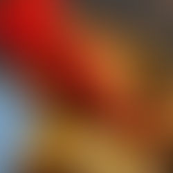 Fire Roasted Stuffed Peppers Ala Shuk