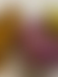 Spring Turnip And Potato Soup