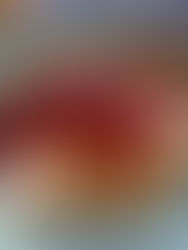 Traditional Cheese Blintzes