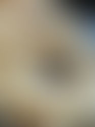 Chopped Liver With Schmaltz