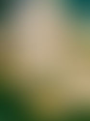 Fennel And Cucumber Salad