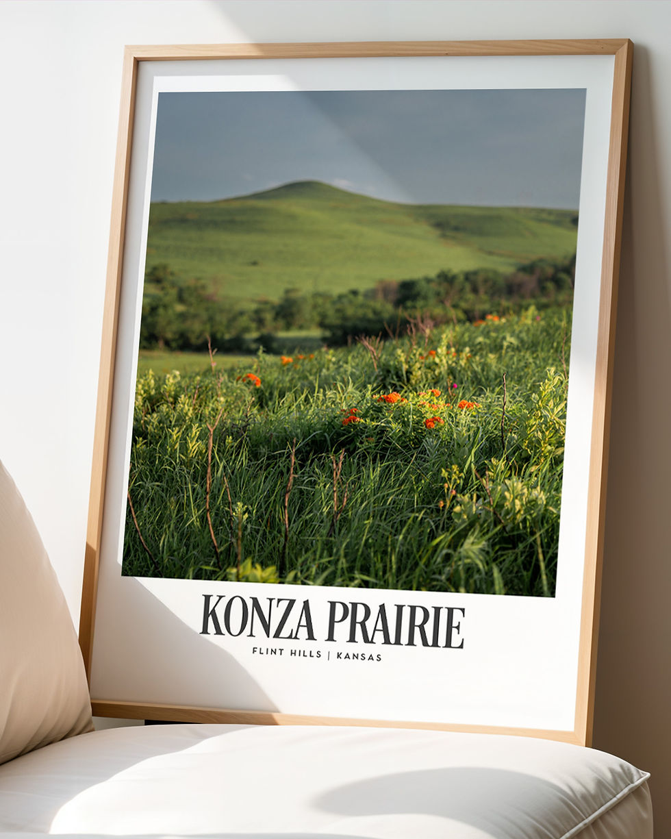 Thumbnail: Framed image of a Konza Prairie Poster. A photo of the Flint Hills with rolling green hills and bright orange wildflowers.
