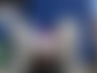 Bulky Junk Items Removed For Disposal By Junk Value SG