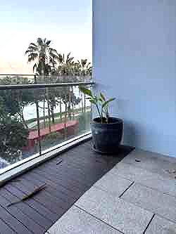 Potted Plants Disposal In Singapore - Junk Value Recycling