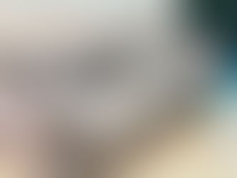 Couch Disposed From a West Coast Condo By Junk Value SG