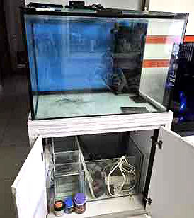 3Ft Tank, Sump & Cabinet Removed By Junk Value Recycling Singapore