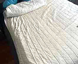 Queen Bed Set Disposal From Landed Home In Singapore - Junk Value Recycling