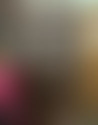 Large Shelf Disposed From A Residence By Junk Value Recycling