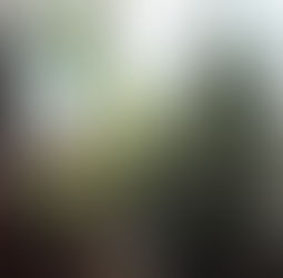 Clear Plants From Homes & offices In Singapore - Junk Value Recycling