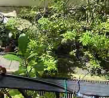 Garden Waste Disposal Services By Junk V