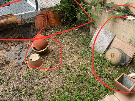 Garden Waste Disposal By Junk Value SG