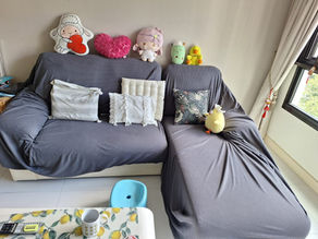 Old Couch Disposed By Junk Value's Sofa Disposal Services SG