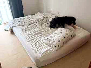 Junk Value Recycling Disposes Mattresses Of All Sizes In Singapore