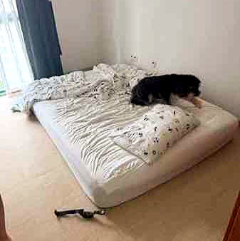 Junk Value Recycling Disposes Mattresses Of All Sizes In Singapore