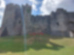 Cygnets castle