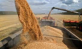 Russian to give 100,000 tons of Grain to China