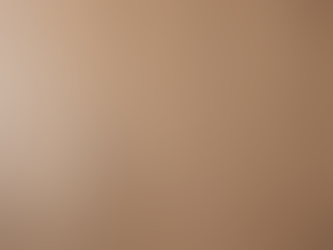 Affordable Flooring Solutions in Sandy, Utah